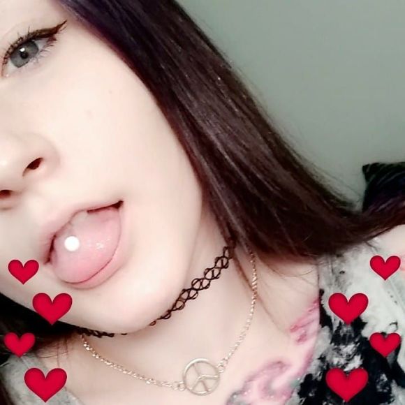 Meet your Posher, Cassidy - Picture 1 of 1